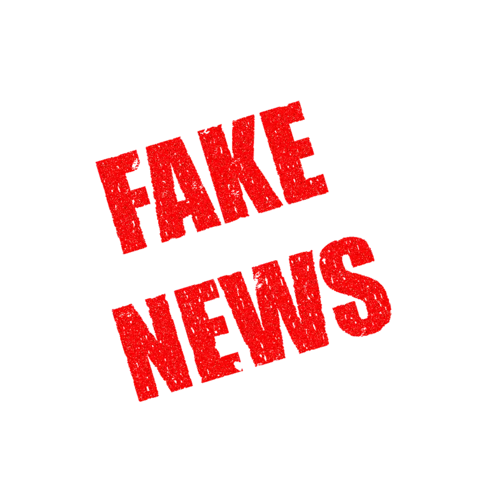 Dezinformace