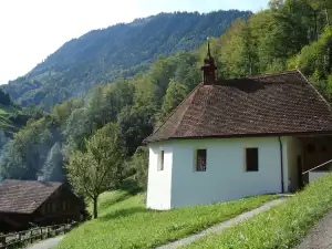 Václav Klaus Mladší Nemoc